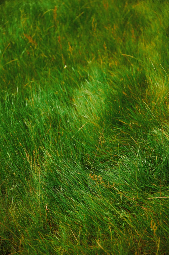 25-07-14 ALEKSANDR KHMELIOV 0060.jpg